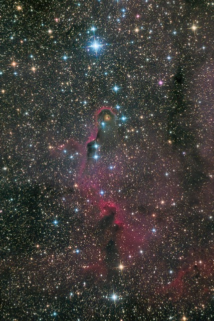 Elephant Nebula